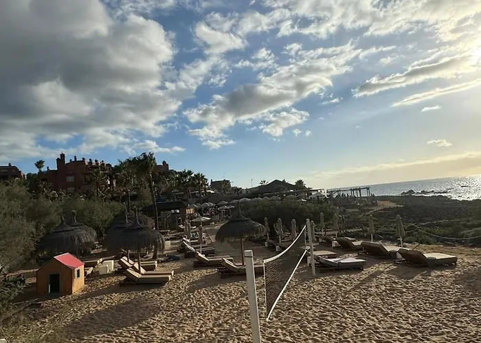 Dream Beny Daire Palm-mar