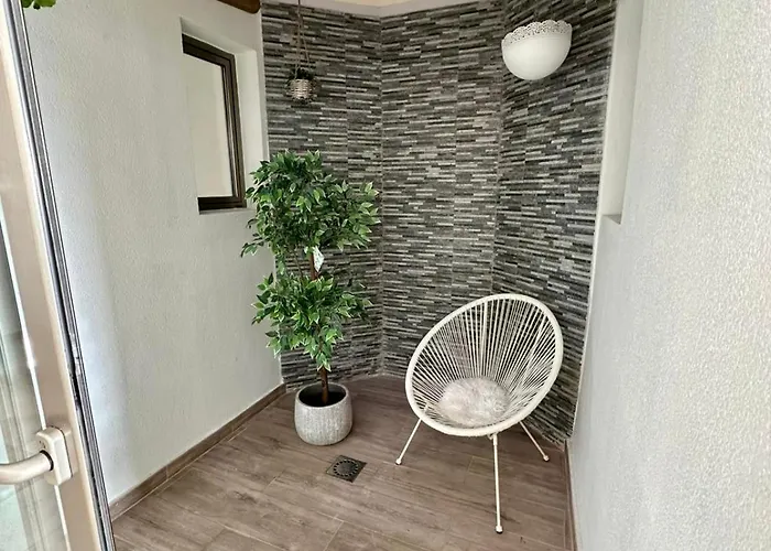 Dream Beny Daire Palm-mar